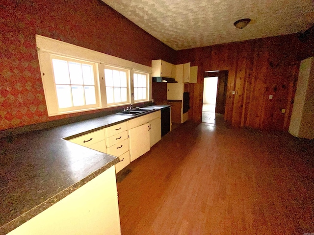 kitchen with sink, a textured ceiling, and dark hardwood / wood-style floors