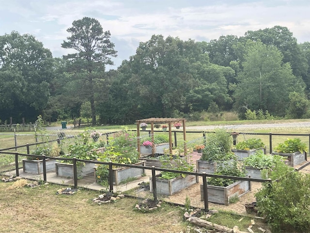 view of yard featuring a rural view