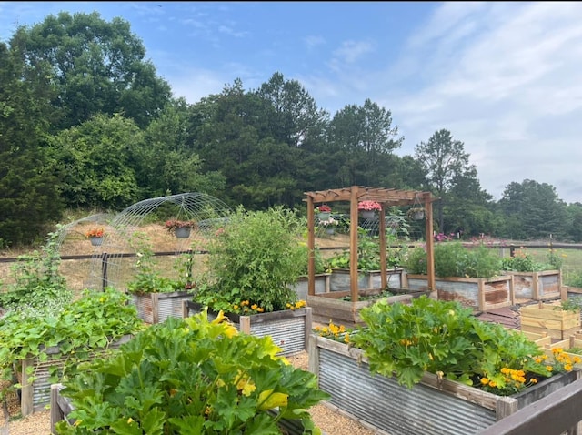 view of yard with a pergola