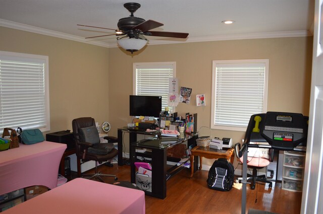 office featuring ceiling fan, plenty of natural light, hardwood / wood-style floors, and crown molding