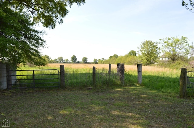 view of yard with a rural view