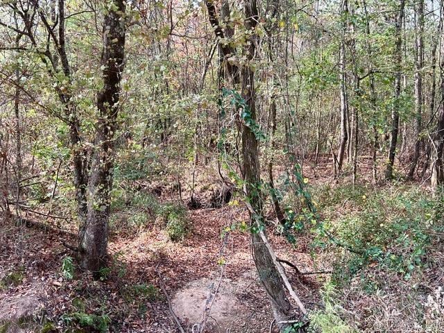 Address Not Disclosed, White Hall AR, 71602 land for sale