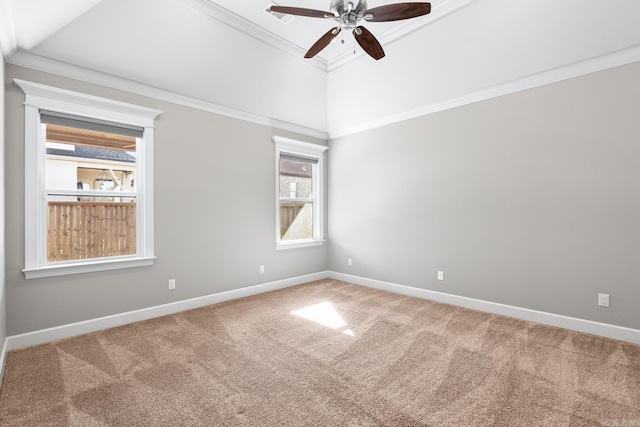 empty room featuring ceiling fan, ornamental molding, and carpet