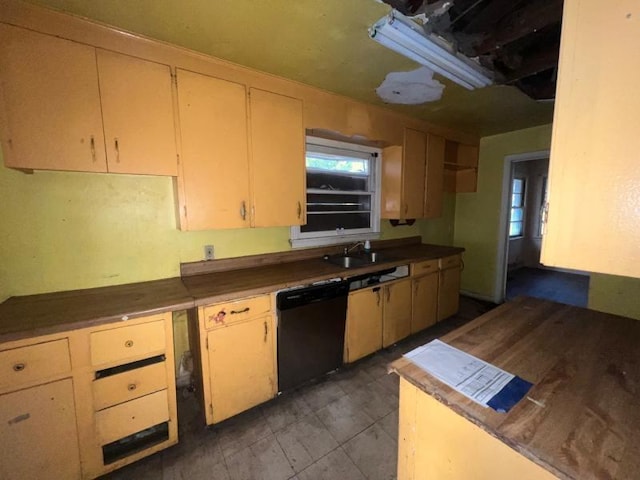 kitchen with sink and dishwashing machine