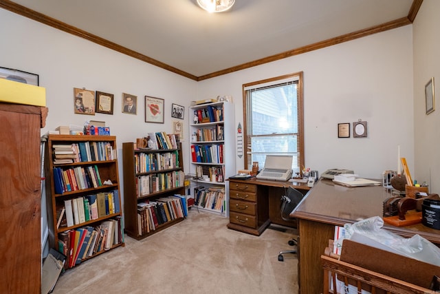 office featuring light colored carpet and crown molding