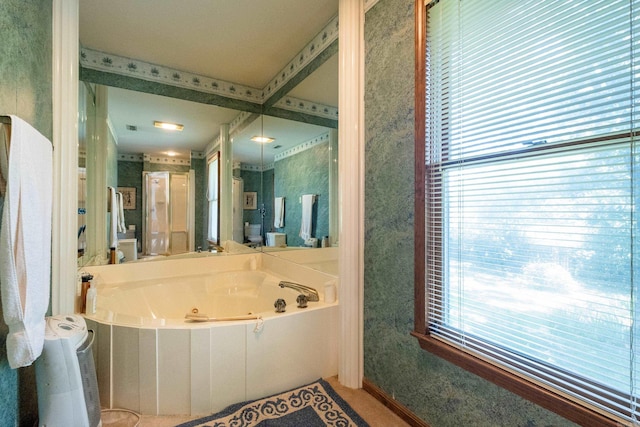 bathroom featuring a bathing tub and a healthy amount of sunlight