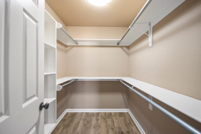 walk in closet with wood-type flooring