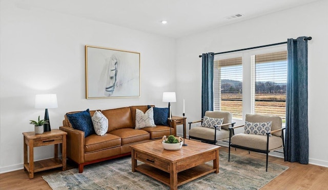 living room featuring wood-type flooring