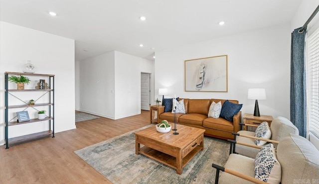 living room featuring wood-type flooring