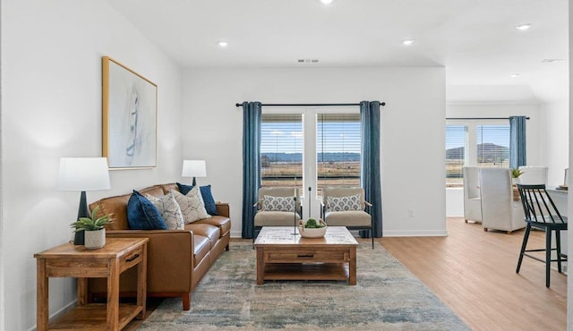 living room featuring hardwood / wood-style flooring and french doors