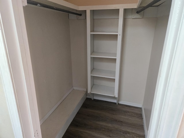 spacious closet featuring dark wood-type flooring