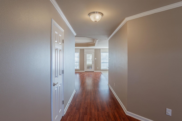 corridor with dark wood-type flooring, a raised ceiling, and ornamental molding