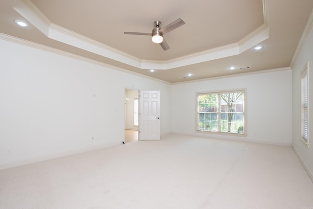 unfurnished room featuring crown molding, light carpet, and a raised ceiling