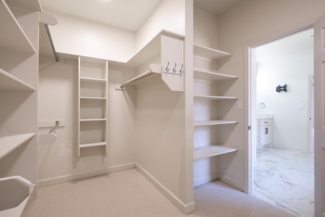 spacious closet with light colored carpet