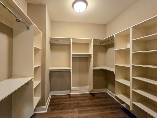 walk in closet with dark hardwood / wood-style flooring