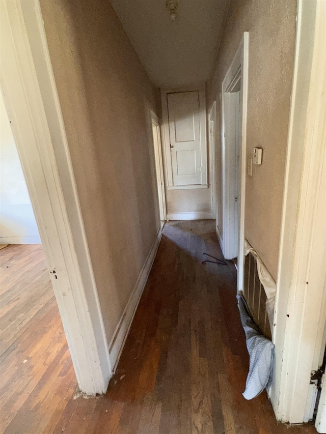 hallway with dark wood-type flooring