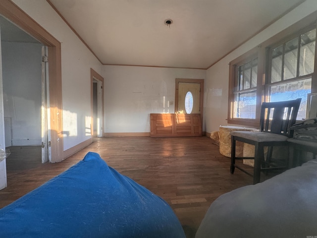 interior space featuring crown molding and dark hardwood / wood-style flooring