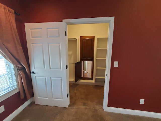 interior space featuring carpet