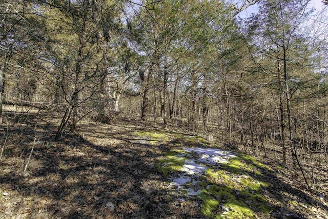 Listing photo 3 for LOT74 Big Buck Ln, Williford AR 72482