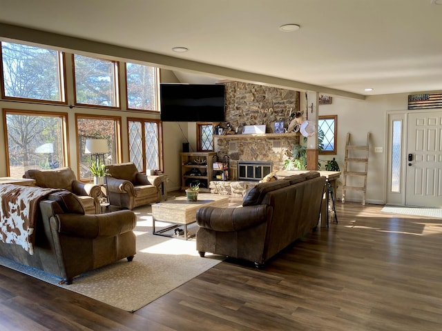 living room featuring dark hardwood / wood-style flooring and a fireplace