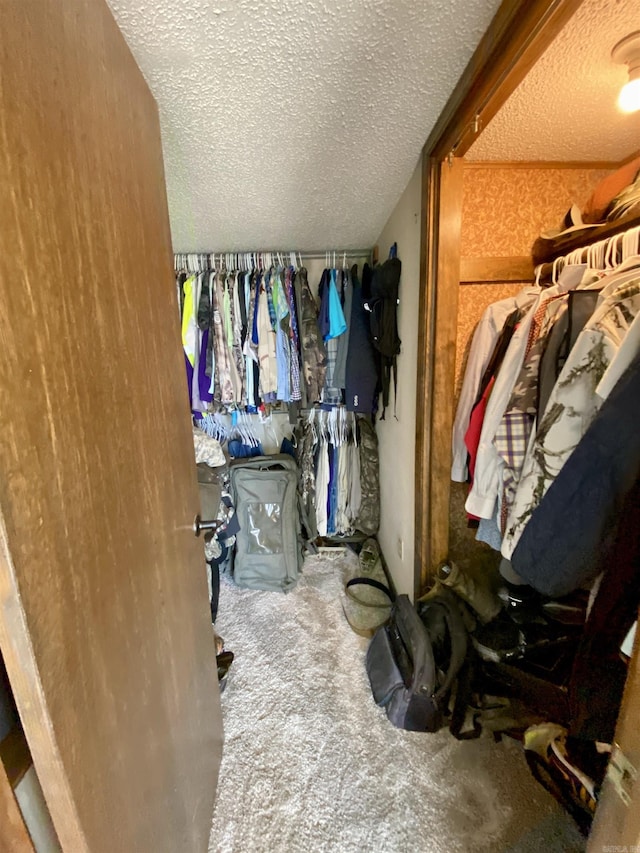 spacious closet with carpet floors