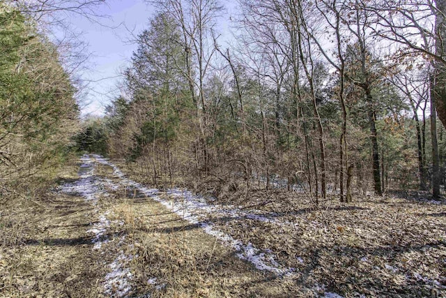 LOT21 Fawn Ridge Ln, Williford AR, 72482 land for sale