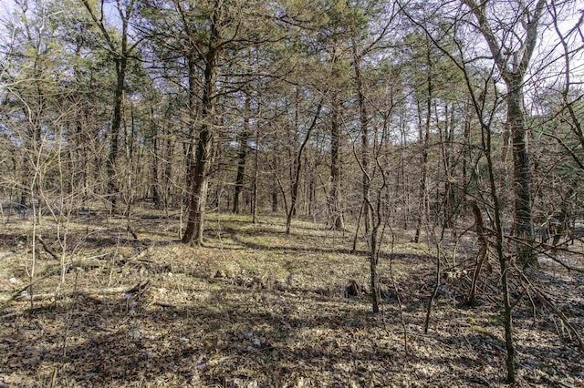 Listing photo 2 for LOT21 Fawn Ridge Ln, Williford AR 72482