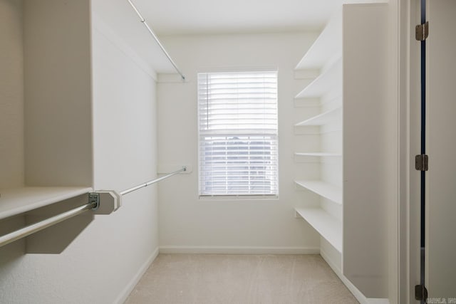 walk in closet with light carpet