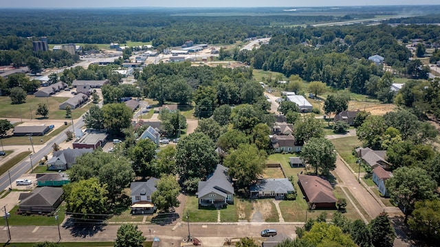 bird's eye view