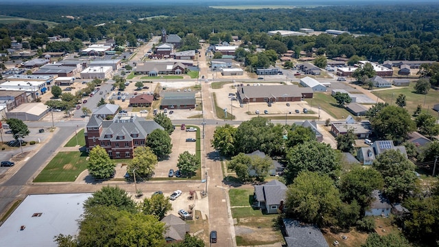 bird's eye view