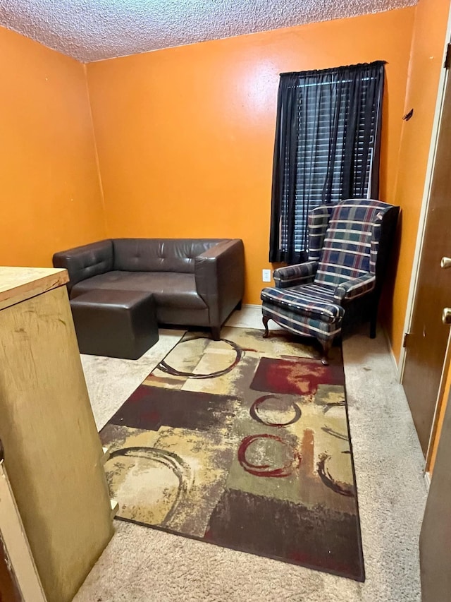 living room with carpet and a textured ceiling