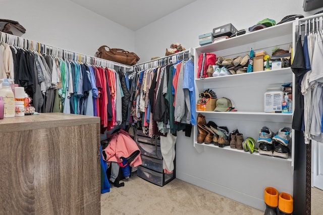6898 Grace Village Dr, Alexander, AR 72002 - walk in closet with carpet floors