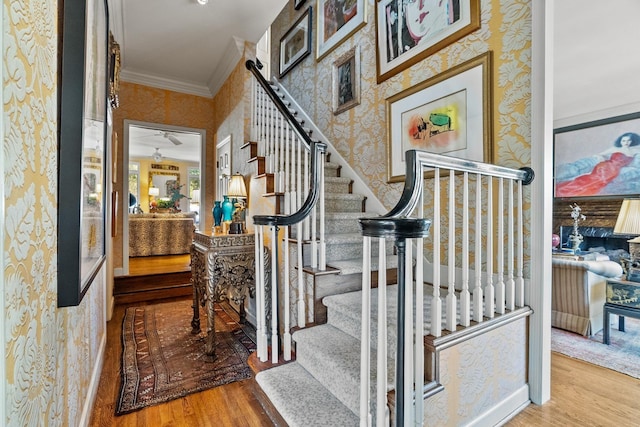 stairs with ornamental molding and hardwood / wood-style floors