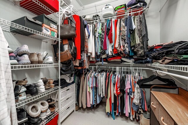 spacious closet featuring carpet