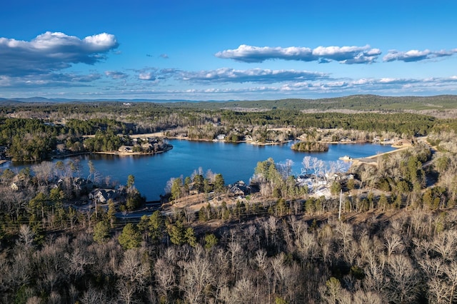 drone / aerial view with a water and mountain view