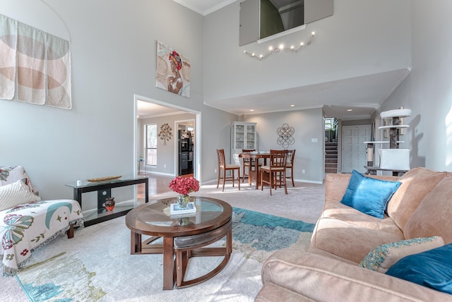 living room with ornamental molding, carpet, and a high ceiling