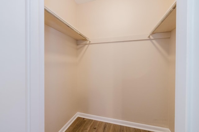 spacious closet with wood-type flooring