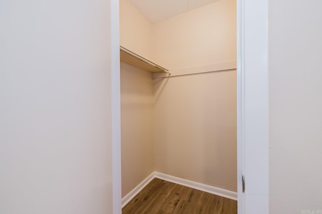 walk in closet featuring hardwood / wood-style flooring