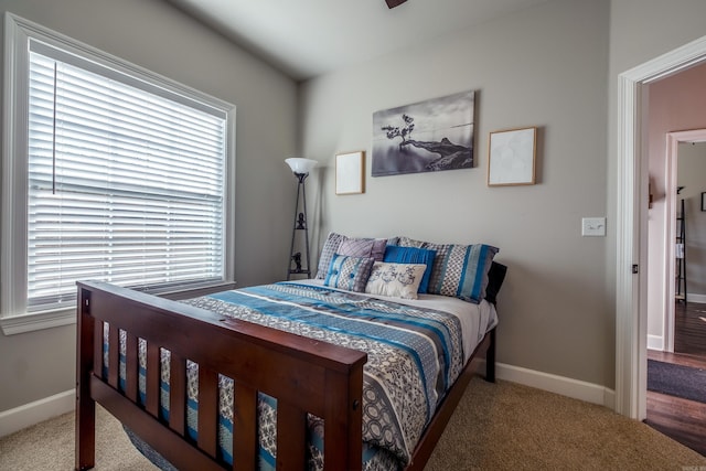 carpeted bedroom with multiple windows