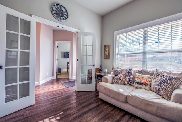 living room featuring dark hardwood / wood-style flooring and french doors