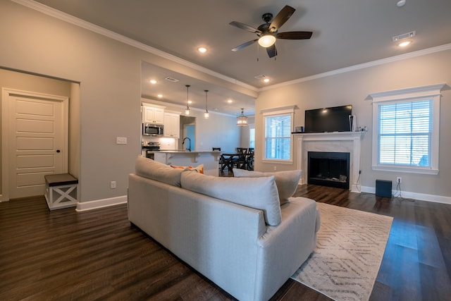 living room featuring dark wood-type flooring, a premium fireplace, crown molding, and sink