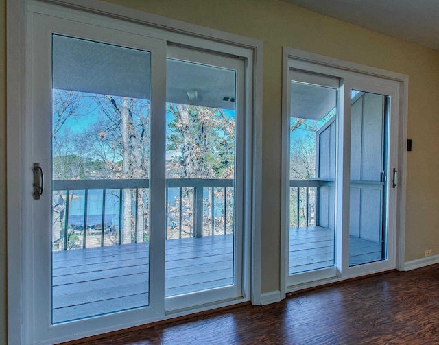 entryway featuring dark hardwood / wood-style flooring and plenty of natural light