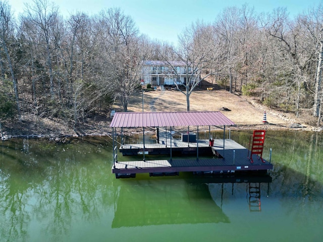 dock area with a water view