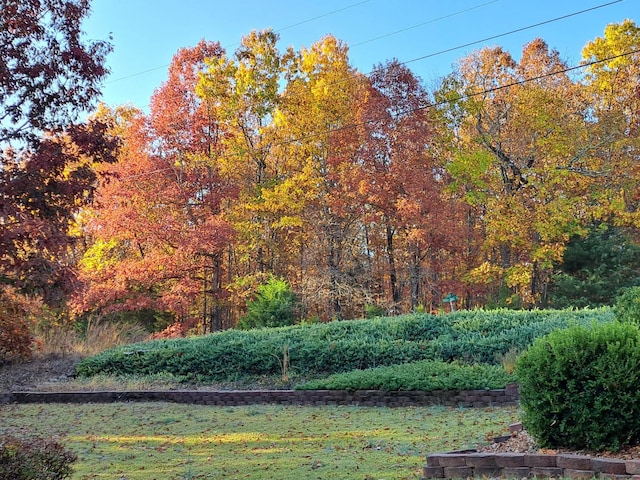 surrounding community featuring a lawn