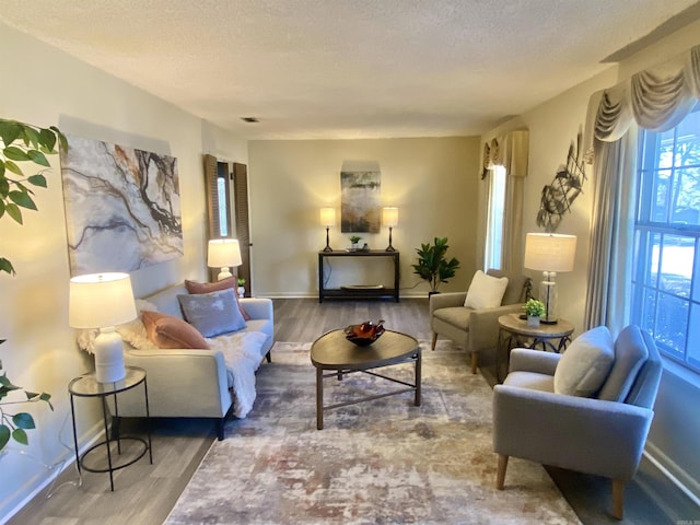 living room with hardwood / wood-style flooring and a textured ceiling