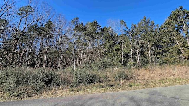 Listing photo 3 for 0 Spruce St, Heber Springs AR 72543