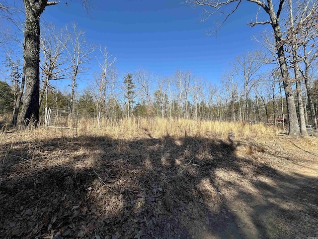 view of local wilderness