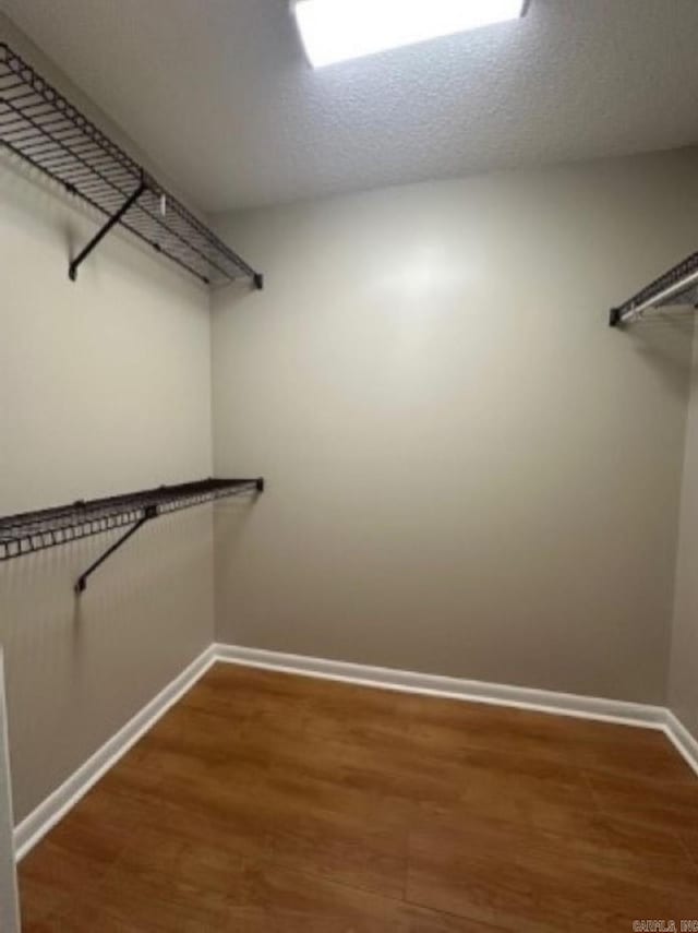 walk in closet featuring dark hardwood / wood-style flooring