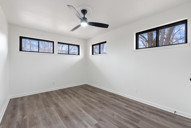 empty room with ceiling fan and hardwood / wood-style floors