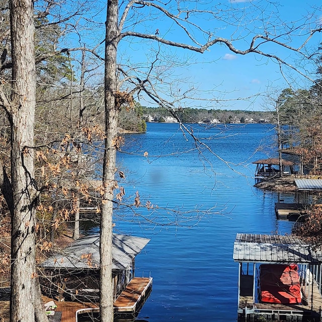 property view of water with a boat dock